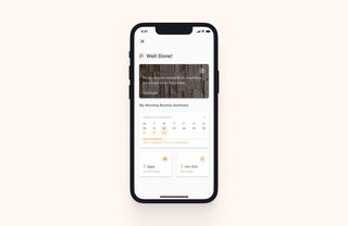 UI showing progress and tracking of habit